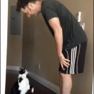 🐱