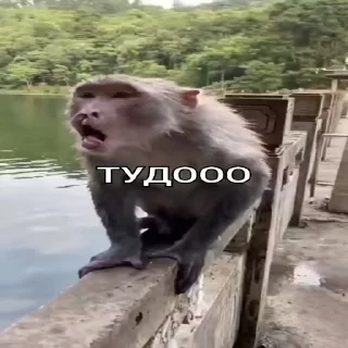 ☝️