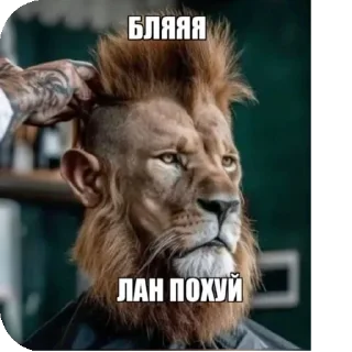 👎
