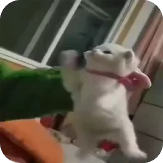 👊