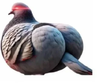🤩