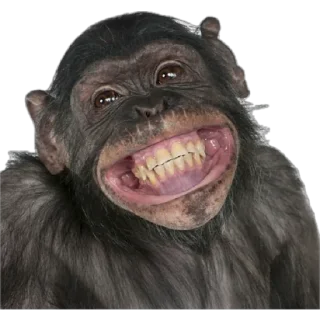 😅