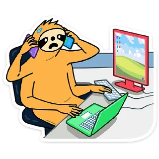 💻