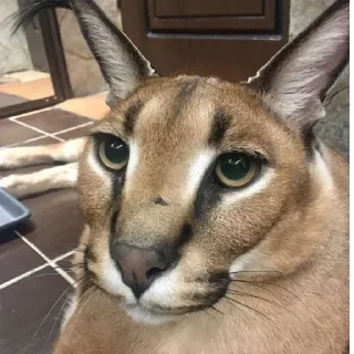 😀