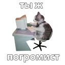 💻