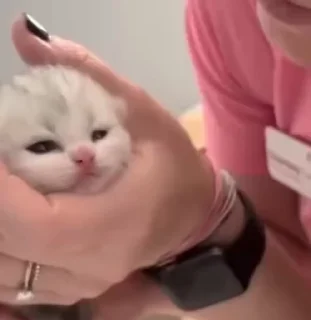 🥰