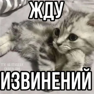 🤨