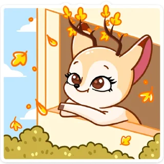 🍂
