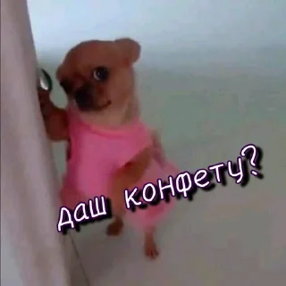 🤭