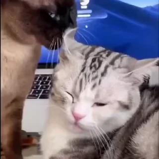 👂