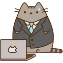 💻