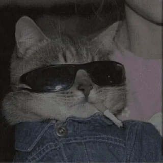 🤓