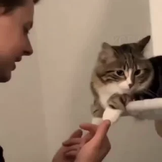 ☺️