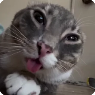 👽