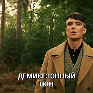🍂