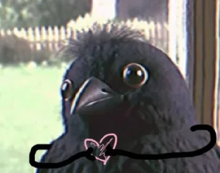 😘