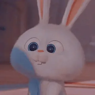 🐰