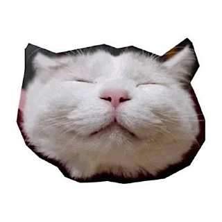 ☺️