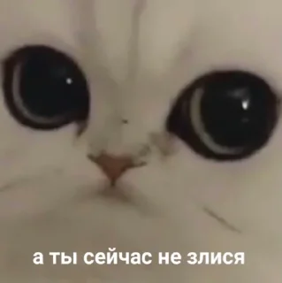 🥺