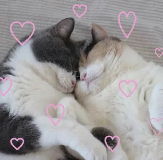 ❤️