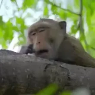 😂