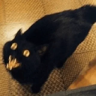 🫥