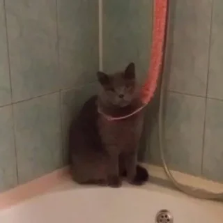 🤯