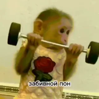 💪