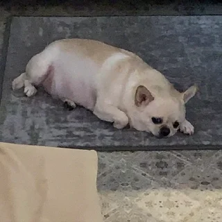 😭