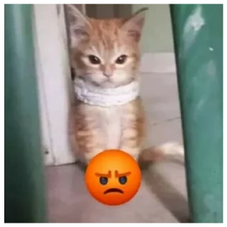😡