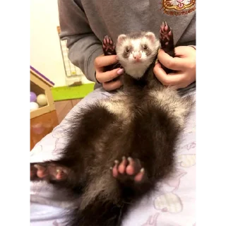 🤲