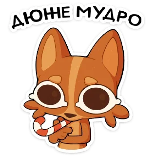 🌟