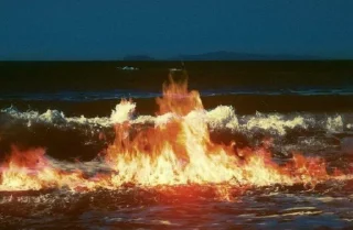 🌊