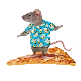 🍕