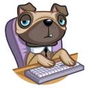👨‍💻