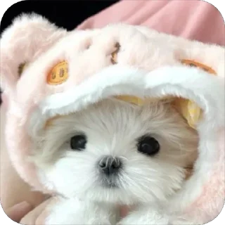 ❤️