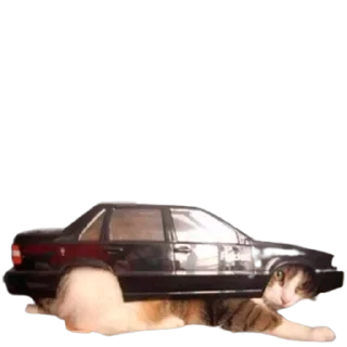 🚗