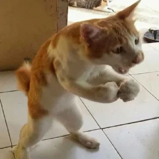 🤜