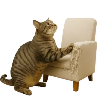 💺