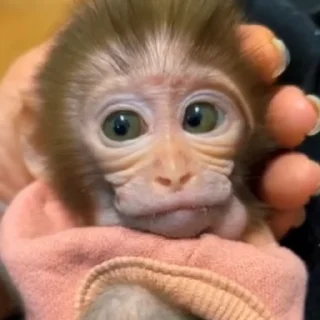 😮