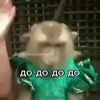 👌