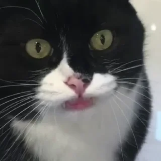 🤓