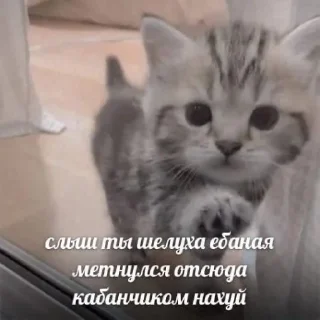 👺
