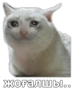😖