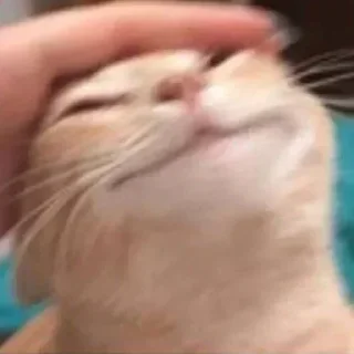 😊