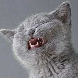 😫