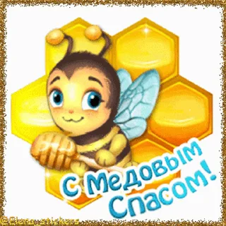 🍯