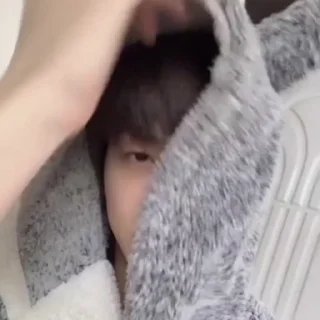 🐾