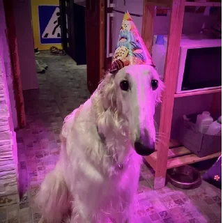 🥳