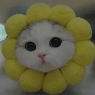 💗